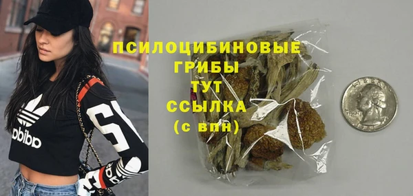 индика Богородск