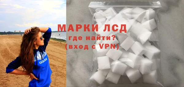 индика Богородицк
