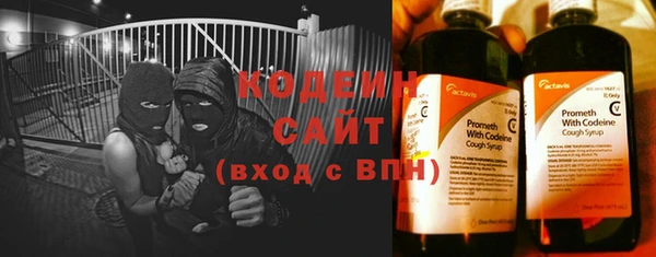 индика Богородск