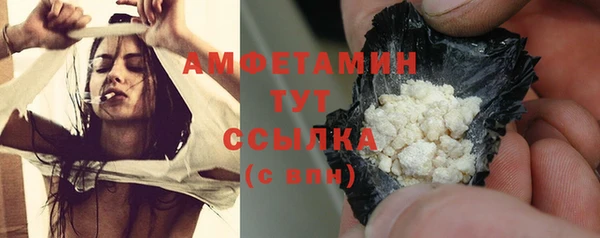 индика Богородицк
