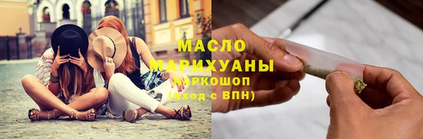 индика Богородск