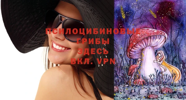 стафф Сосновоборск