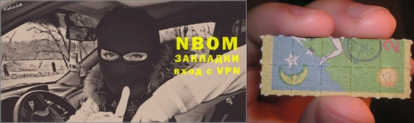 индика Богородицк