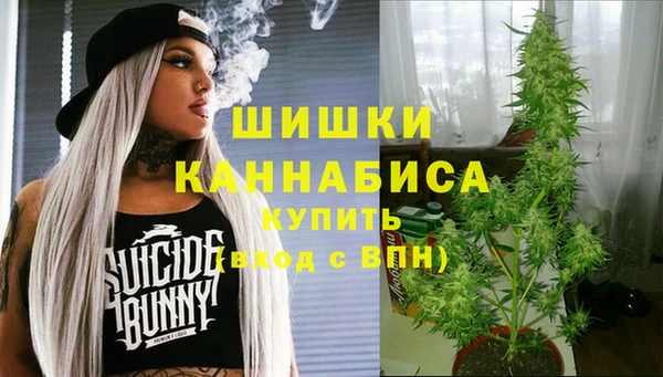 индика Богородск