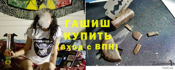 индика Богородск