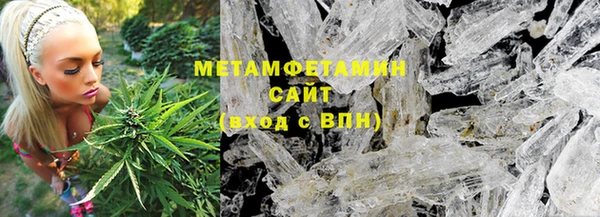 индика Богородицк