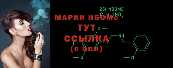 индика Богородицк