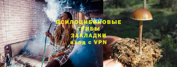 индика Богородицк