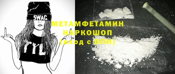 индика Богородицк