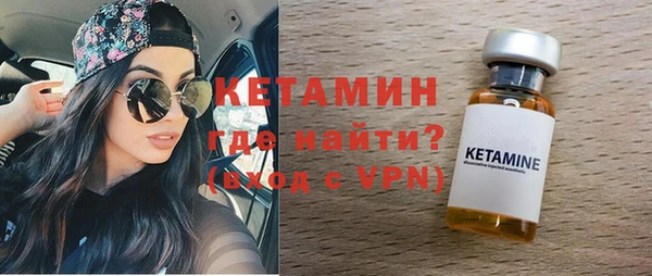индика Богородицк