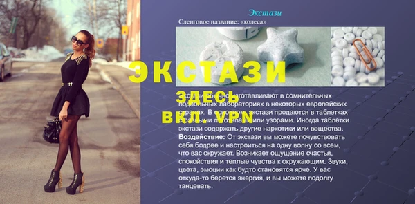 индика Богородицк
