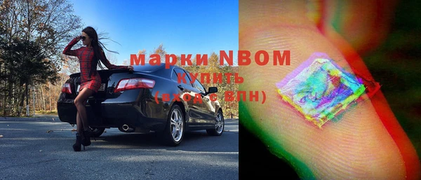 индика Богородск