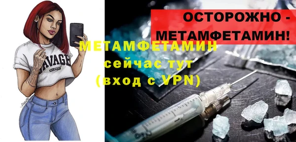 индика Богородск