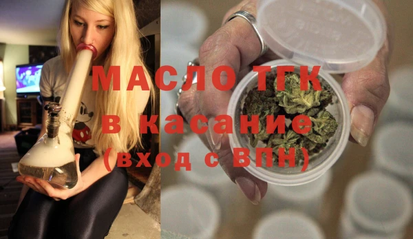 индика Богородицк