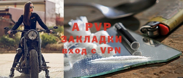 индика Богородск