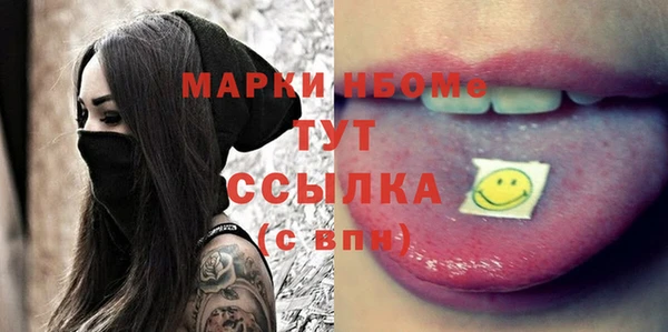 индика Богородск