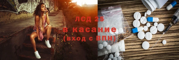 индика Богородск