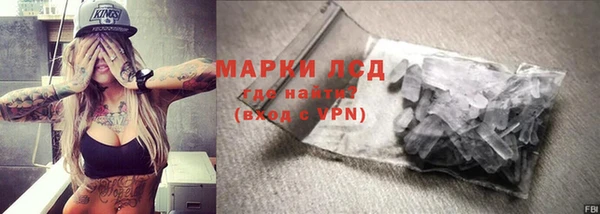 индика Богородицк