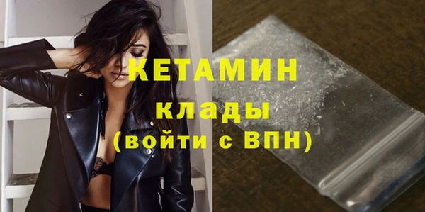 индика Богородицк